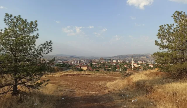 Kırıkkale Millet Ormanı – Kırıkkale fotoğrafı