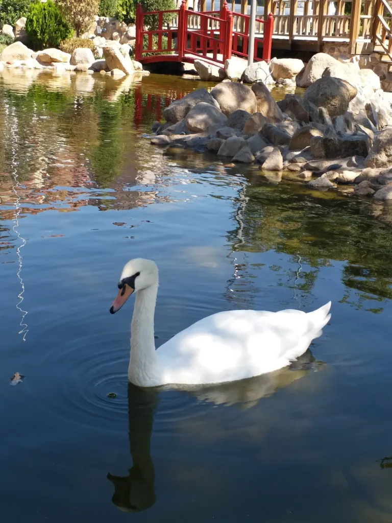 Kırıkkale Şehitler Parkı – Kırıkkale