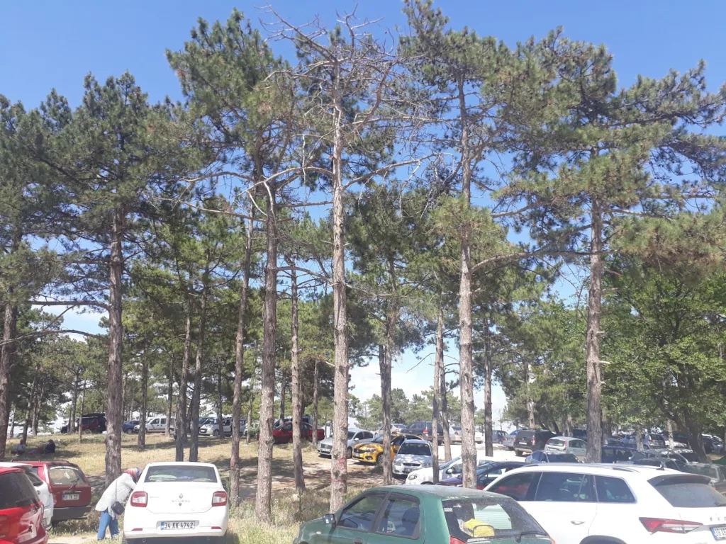 Kırklareli Tarihi Namazgâh – Kırklareli