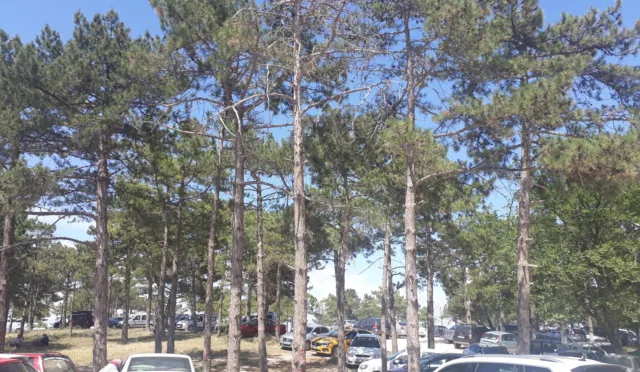 Kırklareli Tarihi Namazgâh – Kırklareli fotoğrafı