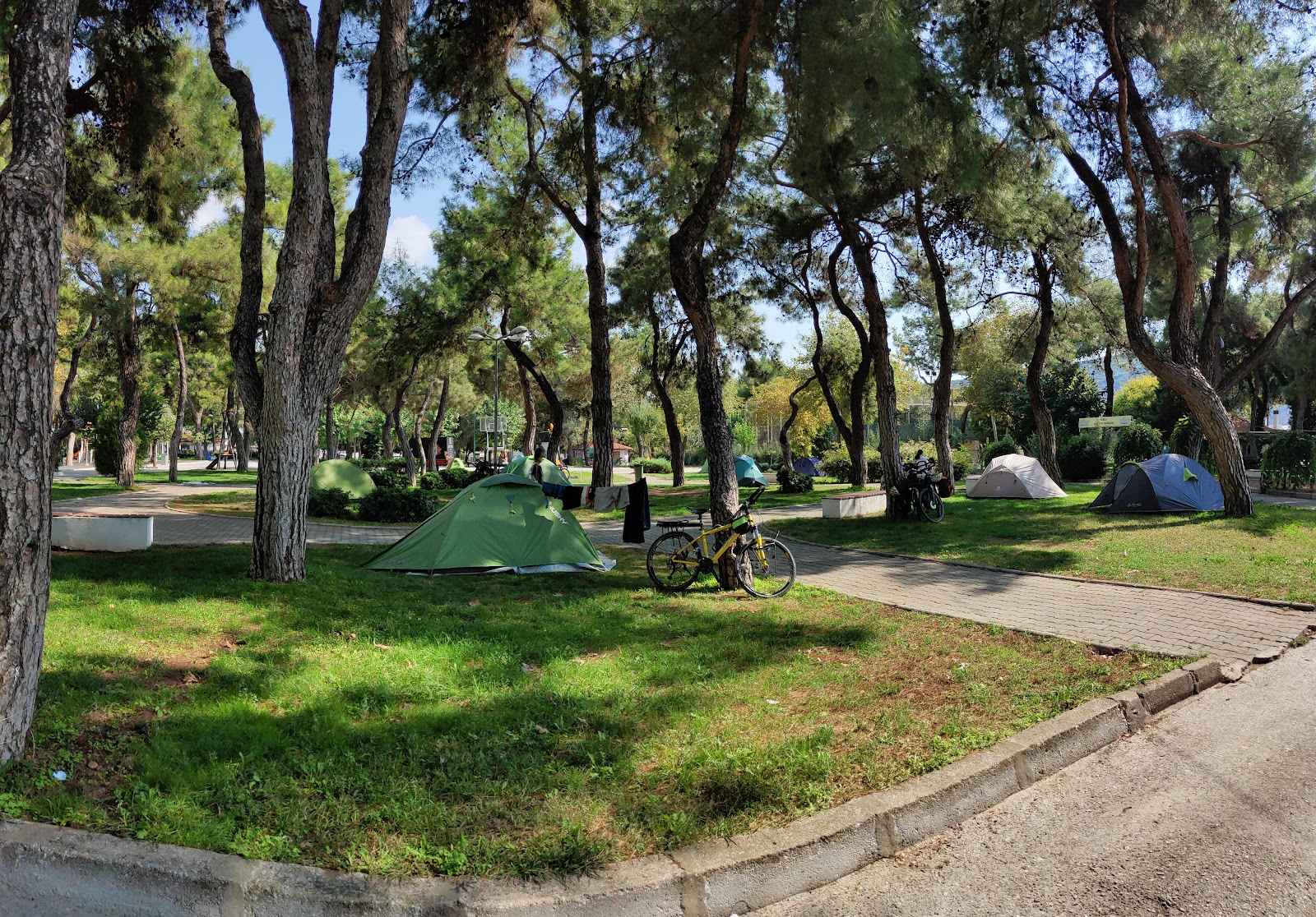 Muğla