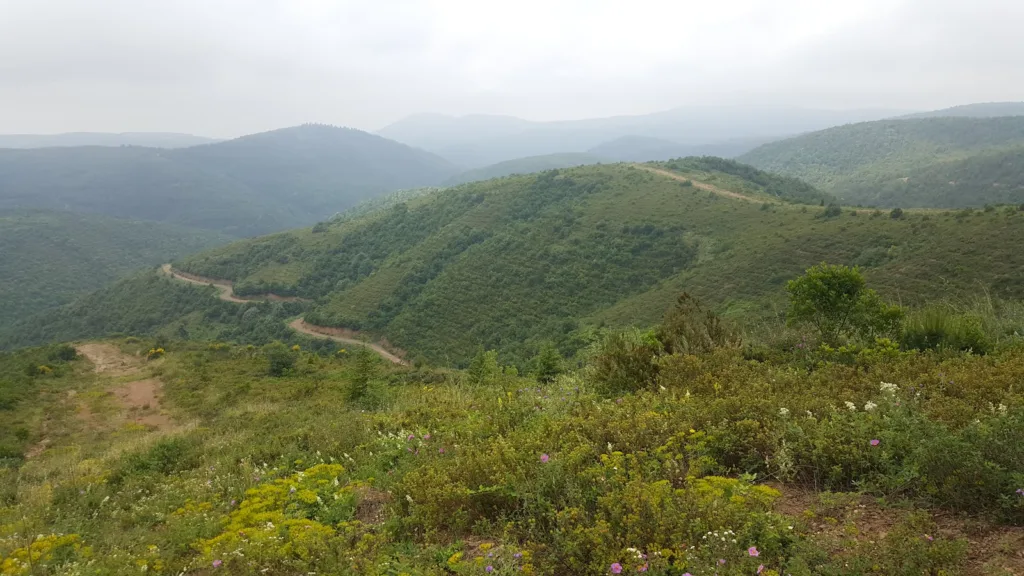 Kocaeli Kent Ormanı – Kocaeli