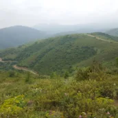 Kocaeli Kent Ormanı – Kocaeli