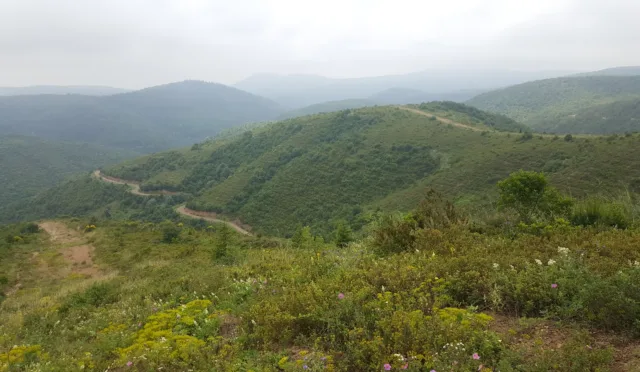 Kocaeli Kent Ormanı – Kocaeli fotoğrafı