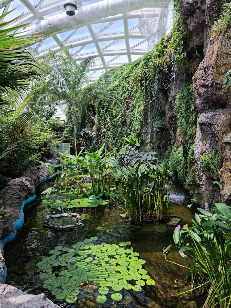 Konya Tropikal Kelebek Bahçesi – Konya