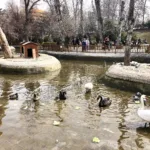 Kuğulu Park – Ankara