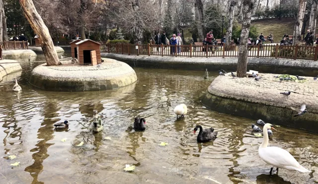 Kuğulu Park – Ankara fotoğrafı