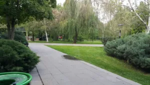 Bingöl hızlı rotam fotoğrafı