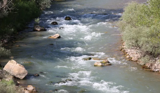 Kutu Deresi Kpr. – Tunceli fotoğrafı