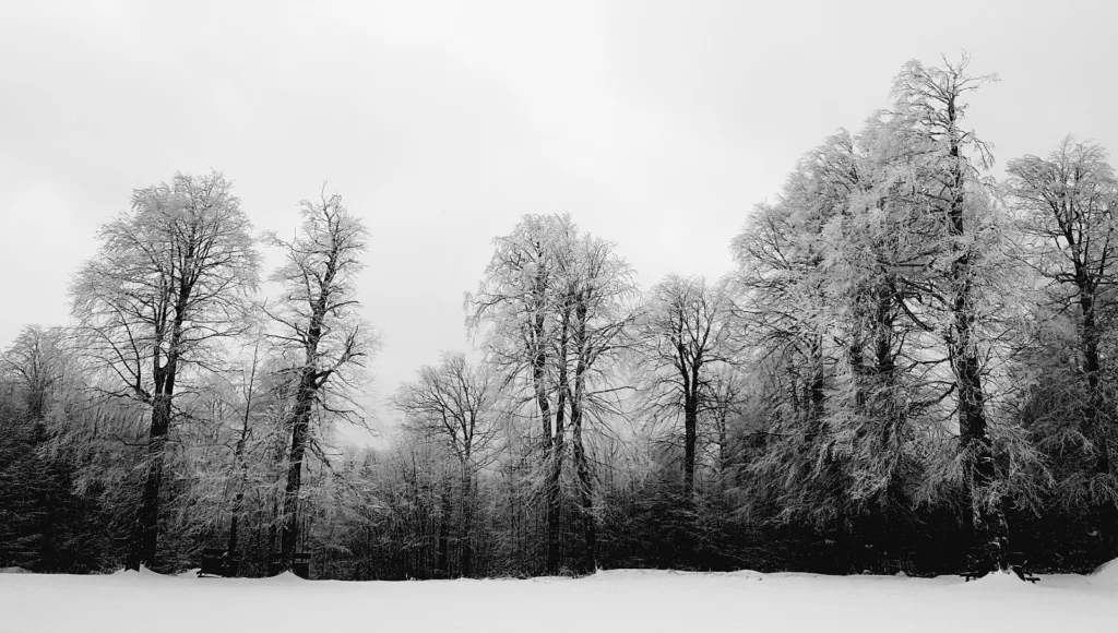 Kuzuyayla Tabiat Parkı – Kocaeli