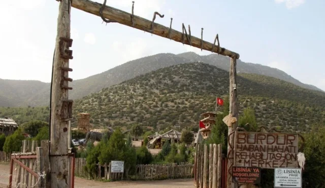 Lisinia Doğa proje Alanı – Burdur fotoğrafı