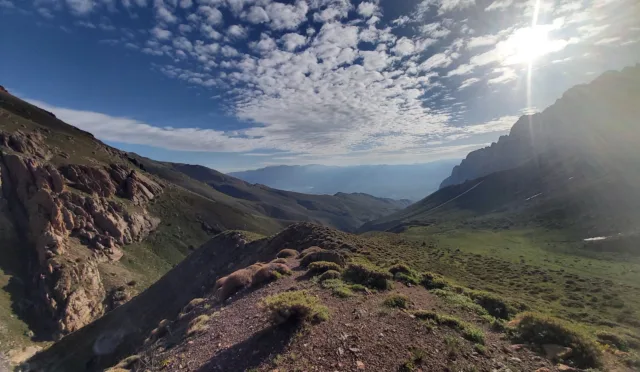 Mağaçur Yayla – Erzincan fotoğrafı