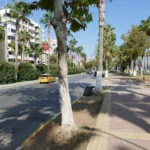 Mersin Büyükşehir Belediyesi Kültür Parkı – Mersin