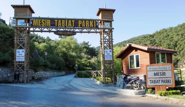 Mesir Tabiat Parkı – Manisa fotoğrafı