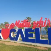 Mutlu Şehir Kocaeli Yazısı – Kocaeli