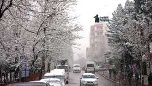 Naci Kutlu Aile Parkı