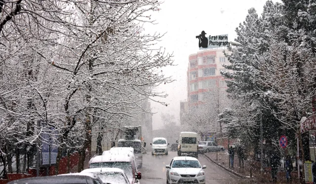 Naci Kutlu Aile Parkı – Siirt fotoğrafı