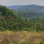 Öceli Karadere Kalp Gölü – Ordu