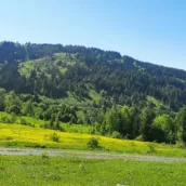 Odayeri Yaylası – Düzce