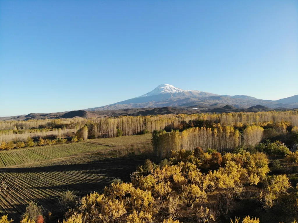 Orhan ile Güzide Tepesi (Babamın Baharı) – Iğdır