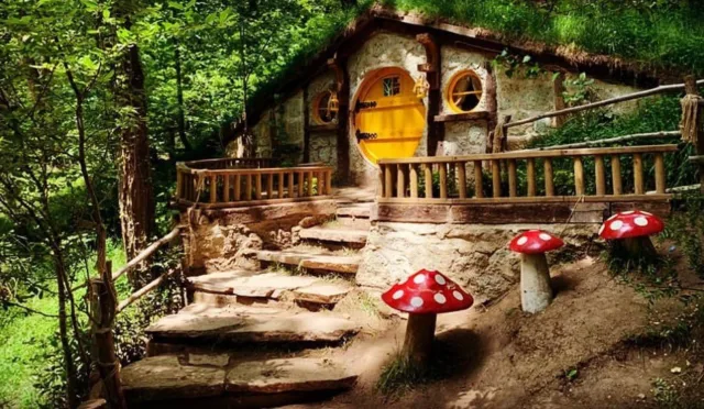 Ormanya – Kocaeli fotoğrafı