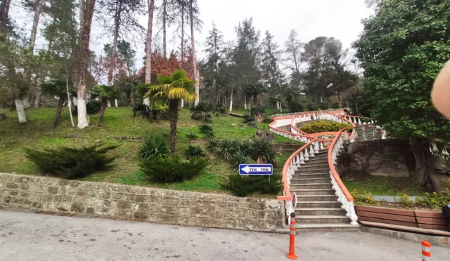 Piknik Alanı – Yalova fotoğrafı
