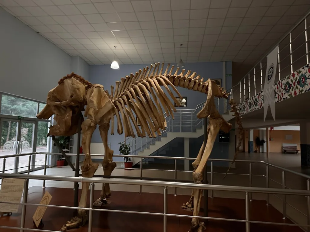 Prof. Dr. Ali DEMİRSOY Doğa Tarihi Müzesi – Erzincan