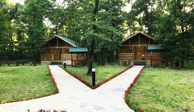Sakarya İl Ormanı Tabiat Parkı – Sakarya fotoğrafı