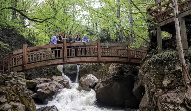 Samandere Şelalesi – Düzce fotoğrafı