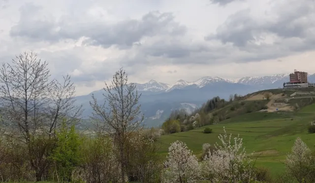 Şelale Park – Artvin fotoğrafı