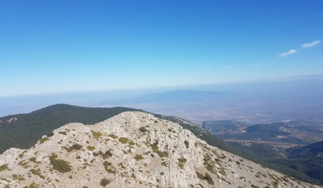 Spil Dağı Milli Parkı Orman Köşk Evleri – Manisa fotoğrafı