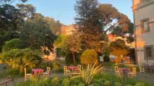 Taşbaşı Parkı