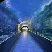 Trabzon Akvaryum – Trabzon