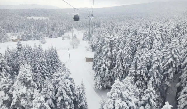Uludağ Milli Parkı – Bursa fotoğrafı