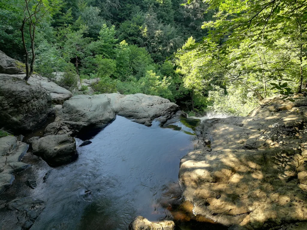 Yalova Kent Ormanı – Yalova