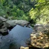 Yalova Kent Ormanı – Yalova