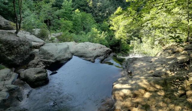 Yalova Kent Ormanı – Yalova fotoğrafı