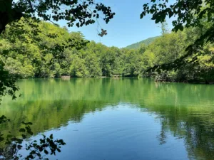 Yedigöller Milli Parkı