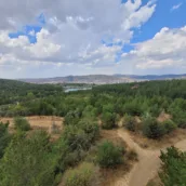 Yozgat Çamlık Gözetleme Kulesi