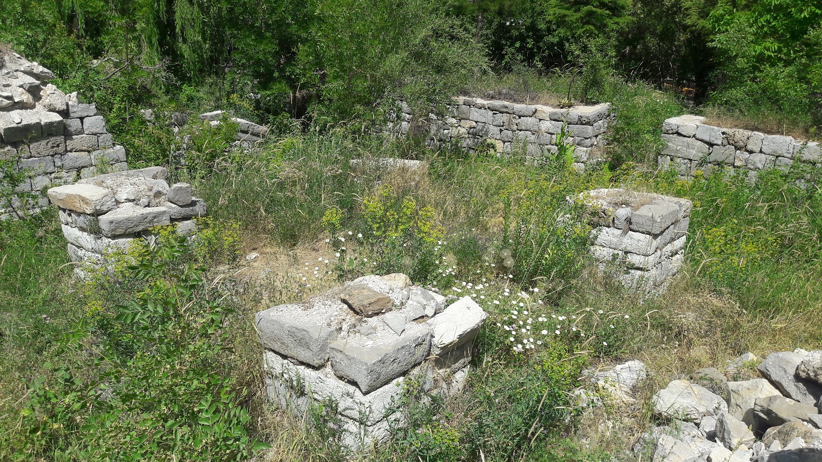 Hakkari