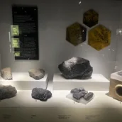 Zonguldak Maden Müzesi – Zonguldak