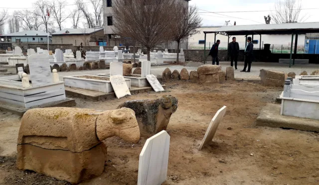 koç başlı mezar taşları – Iğdır fotoğrafı