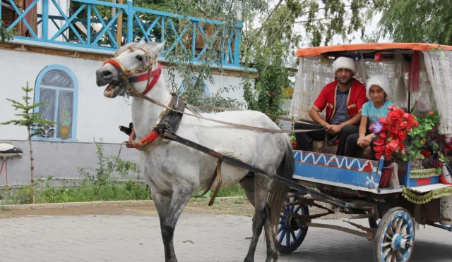 kültür ve sanat sokağı – Iğdır fotoğrafı