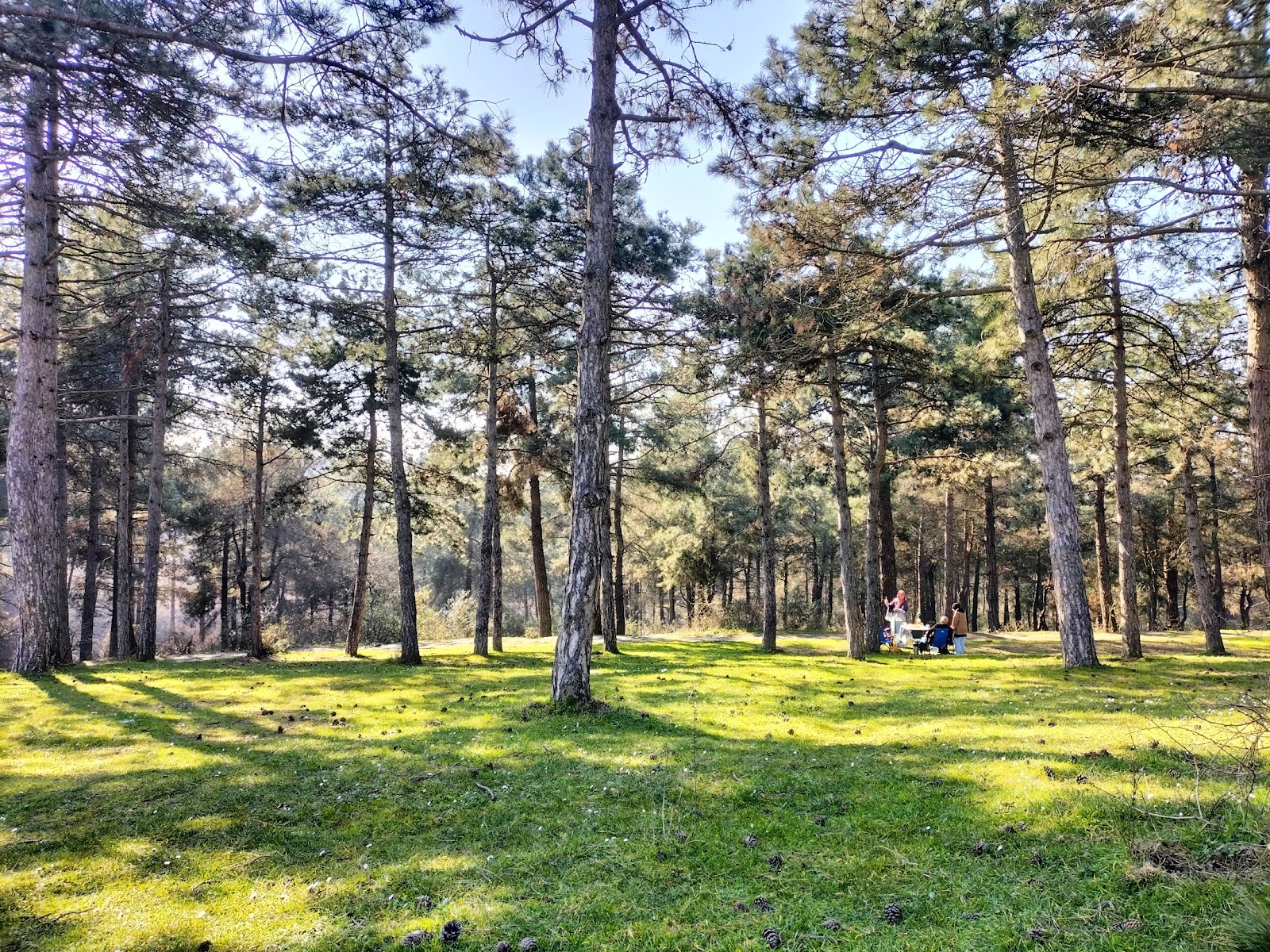 Şamlar Tabiat Parkı