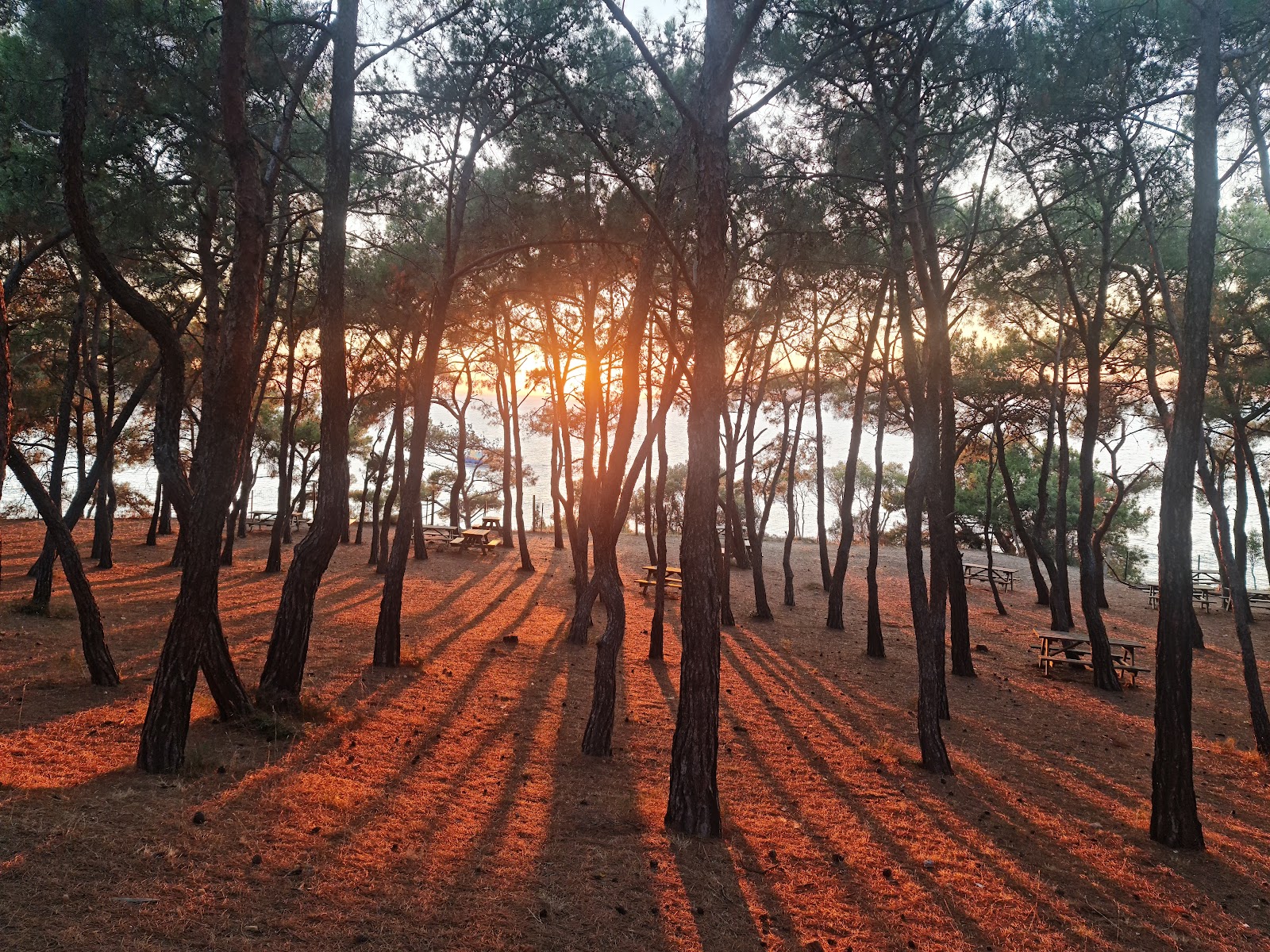 Değirmen Burnu Tabiat Parkı