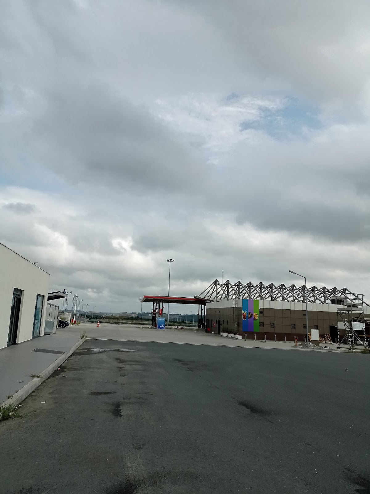 Tarım ve Orman Bakanlığı Ağaçlandırma Sahası