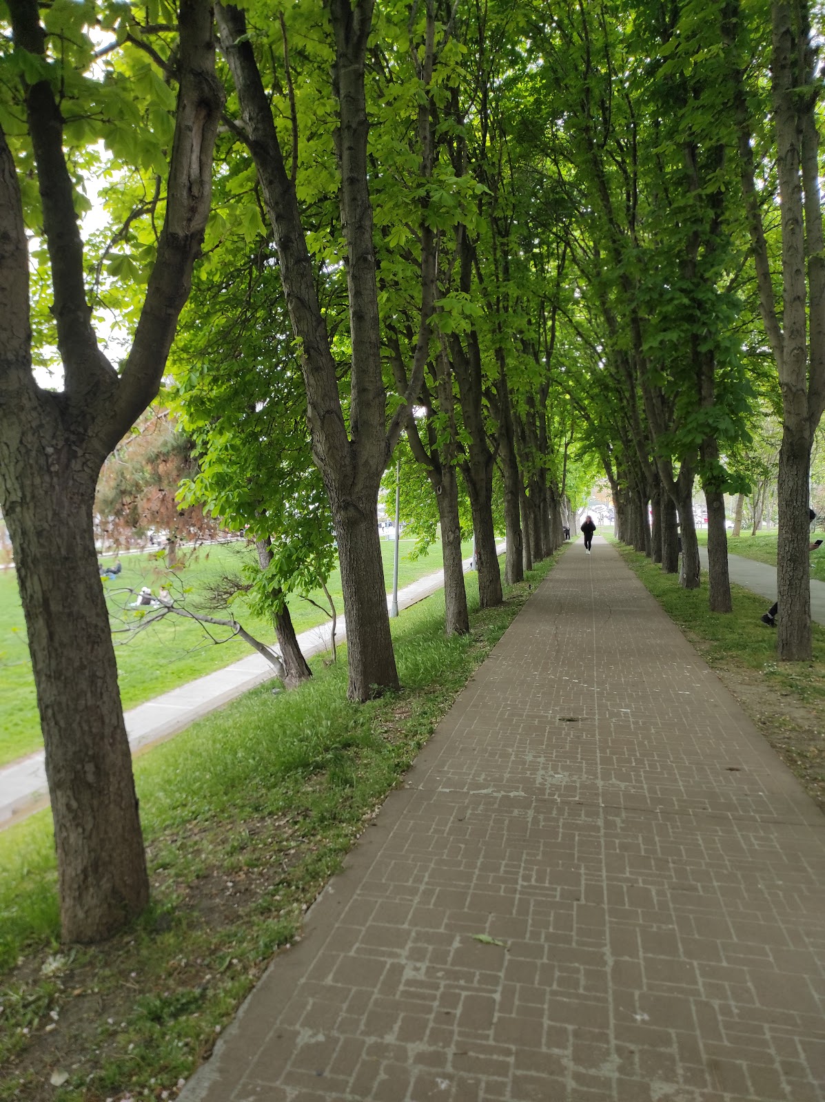 Florya Sahil