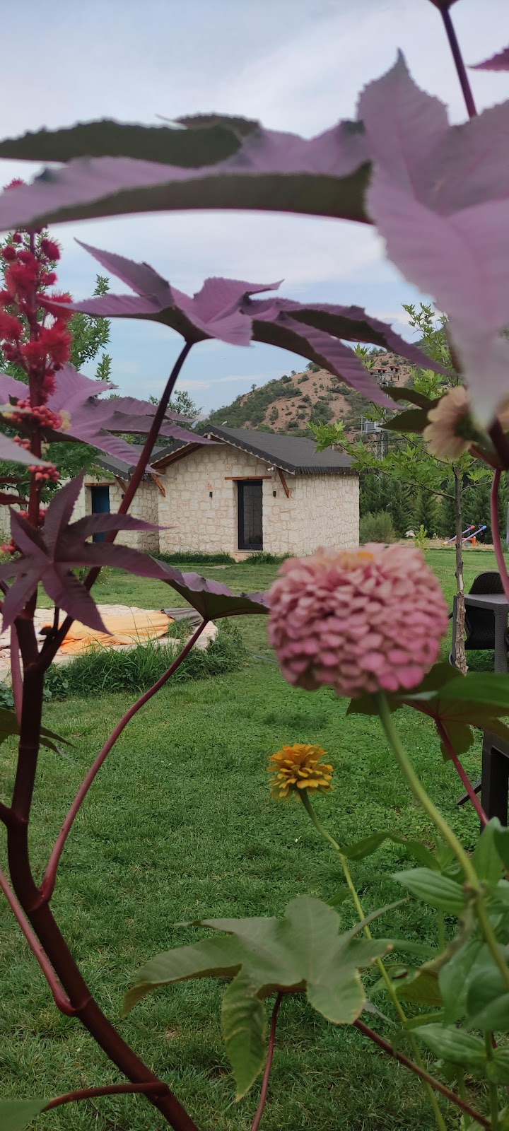 Ayrık Vadi Butik Otel & Restoran