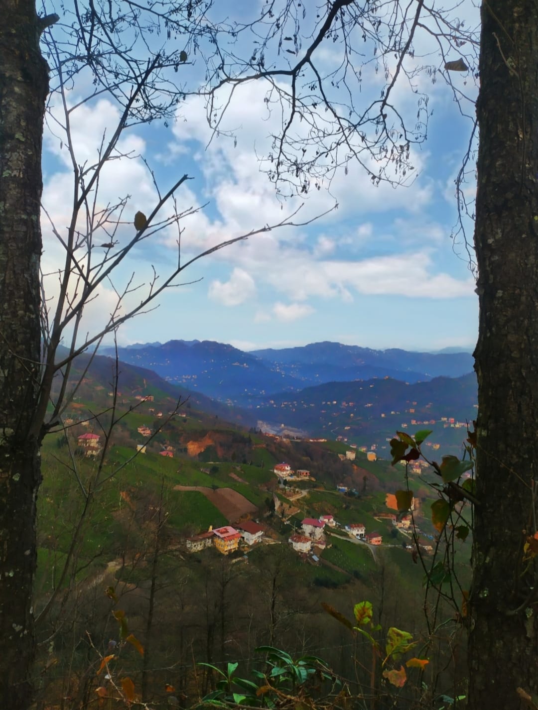 Rize