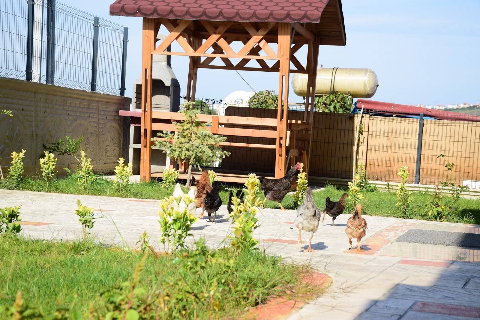 Kuzey Otel